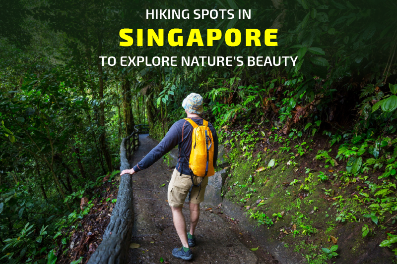 Hiking Spots in Singapore